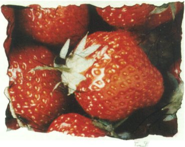 erdbeeren